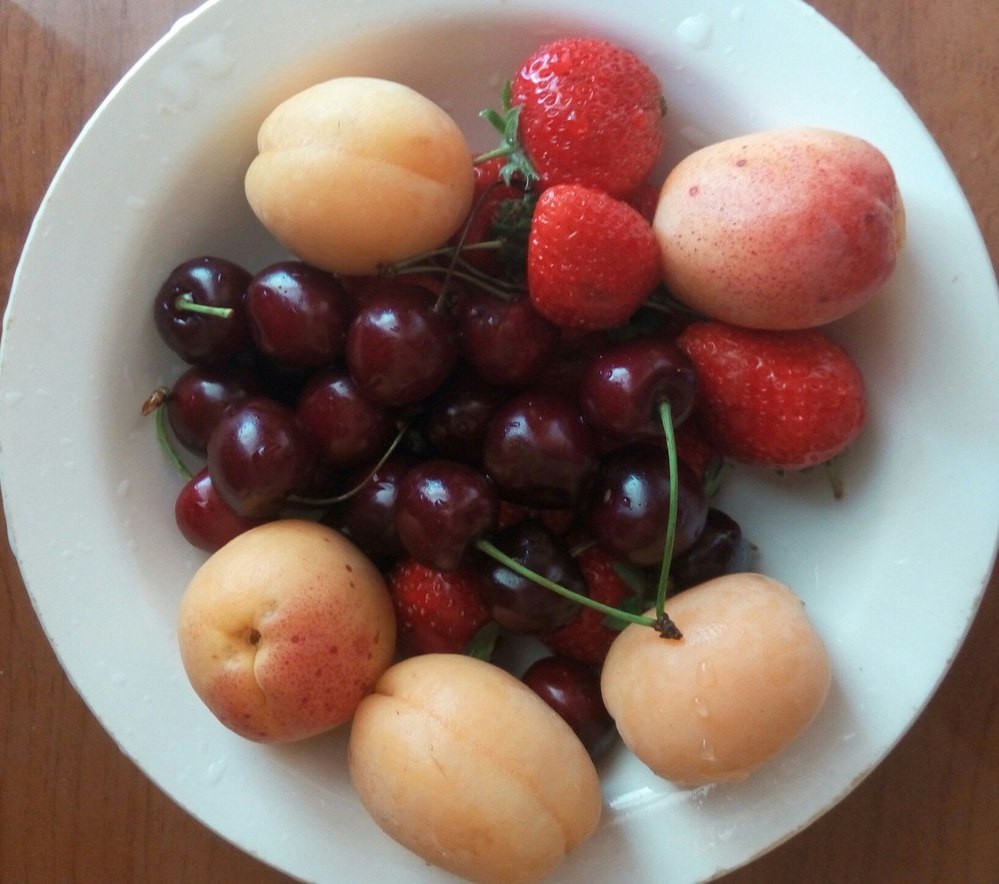 Недорогой Интернет в Европе и советы здоровья автобусным туристам