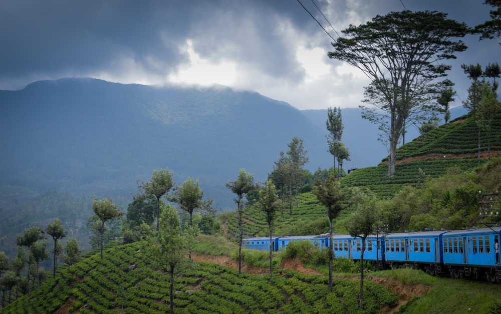 Путешествуем поездом по Шри-Ланке – полезная информация для туристов
