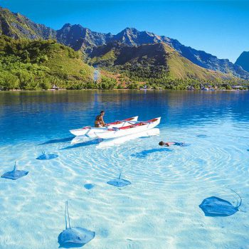 Выбираем сим-карту для путешествия на Шри-Ланку весной