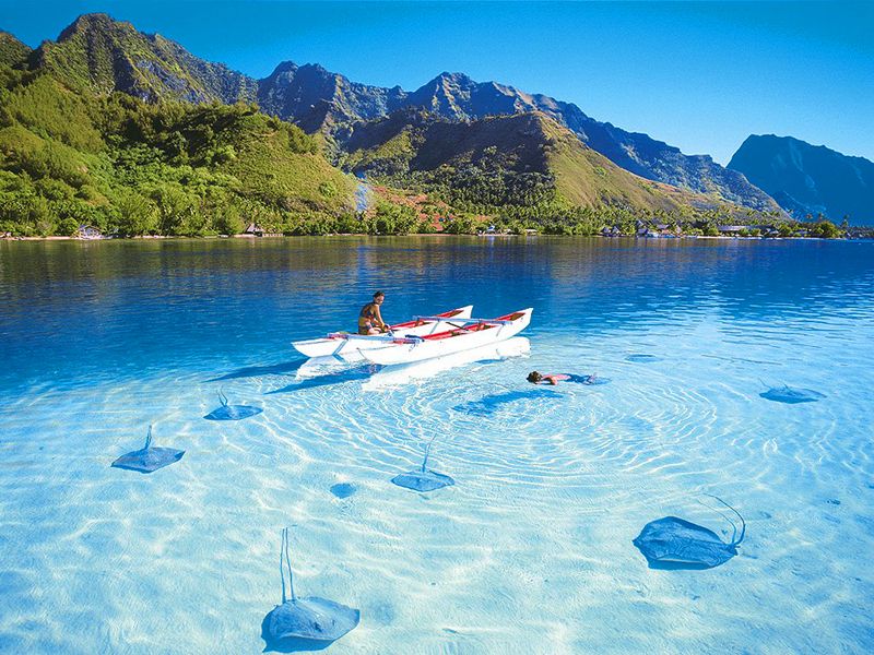 Выбираем сим-карту для путешествия на Шри-Ланку весной