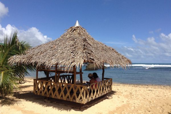 Шри - Ланка, отдых в марте с мужем и отзыв о тарифном плане оператора THREE