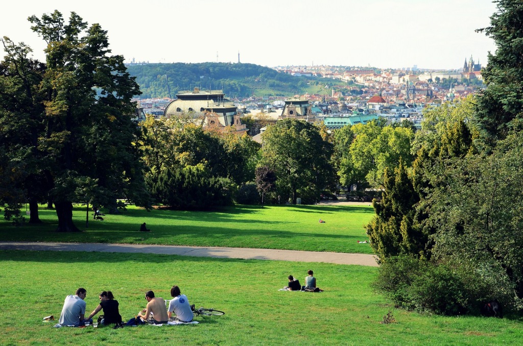 Прага Королевские Винограды