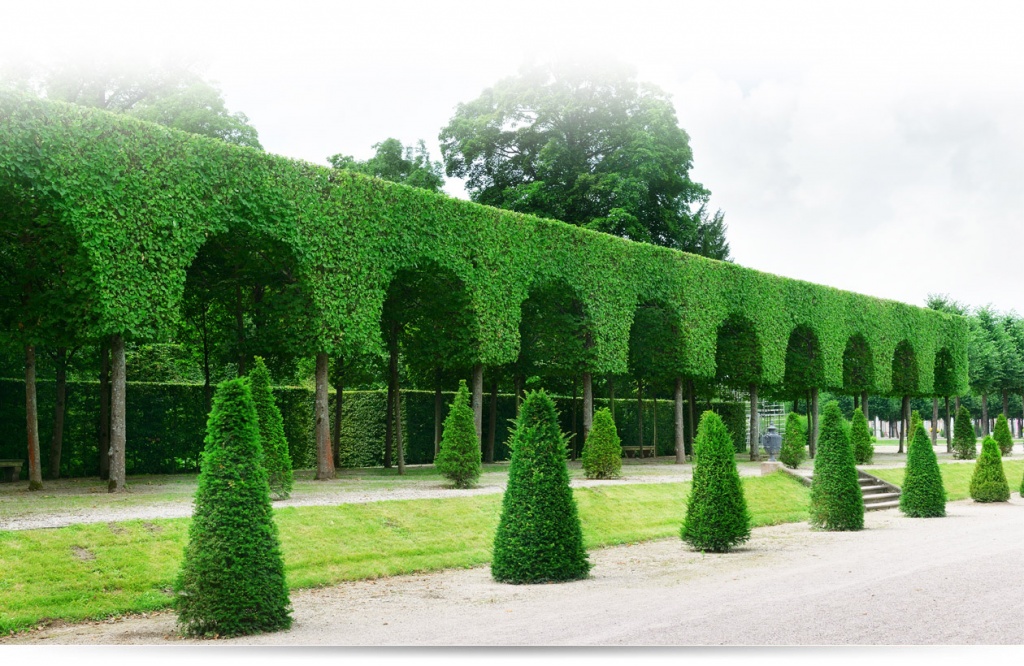 Интересные факты о Китае и его жителях, о которых вы могли не знать 1