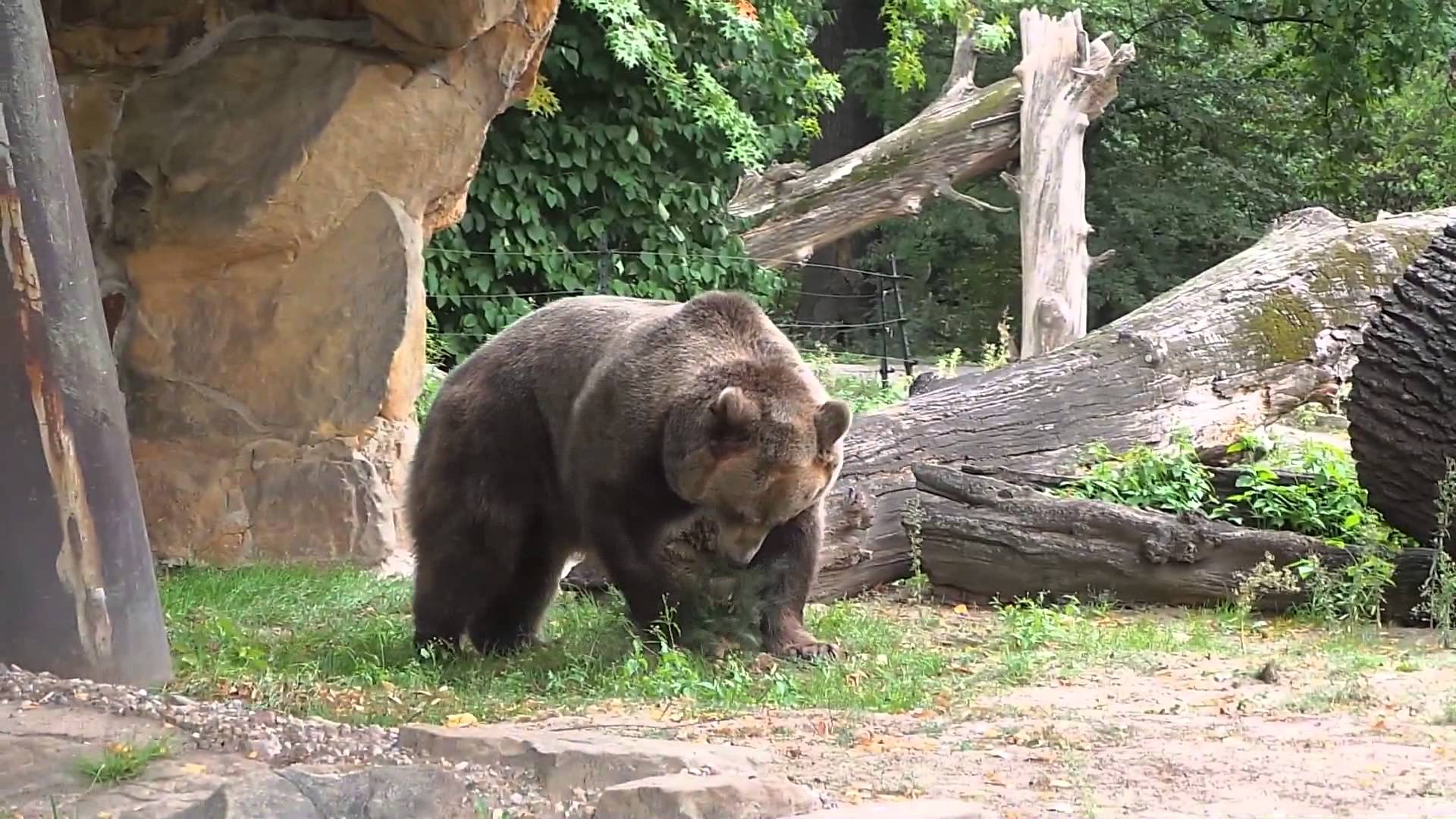 незабываемая поездка в Берлин, и как я нашла хороший тариф на Интернет в Европе 
