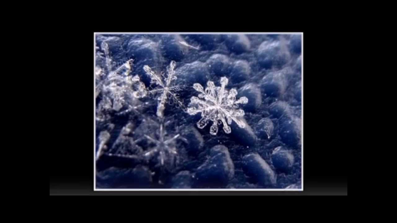 Японский музей снежинок- 7 самых нестандартных музеев мира