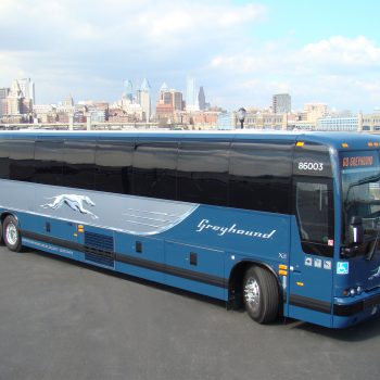 Автобусные перевозчики США: какую компанию выбрать туристу?