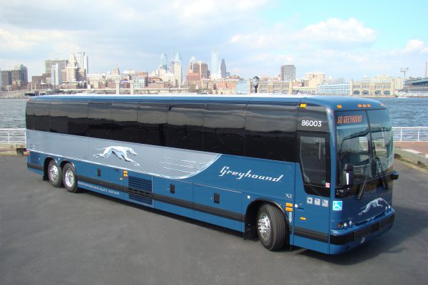 Автобусные перевозчики США: какую компанию выбрать туристу?