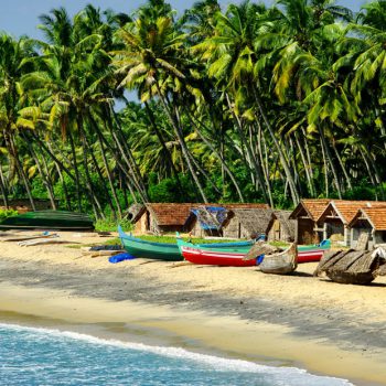 Бесплатно на Гоа, или почему я люблю свою работу и отзыв о тарифе Globalsim