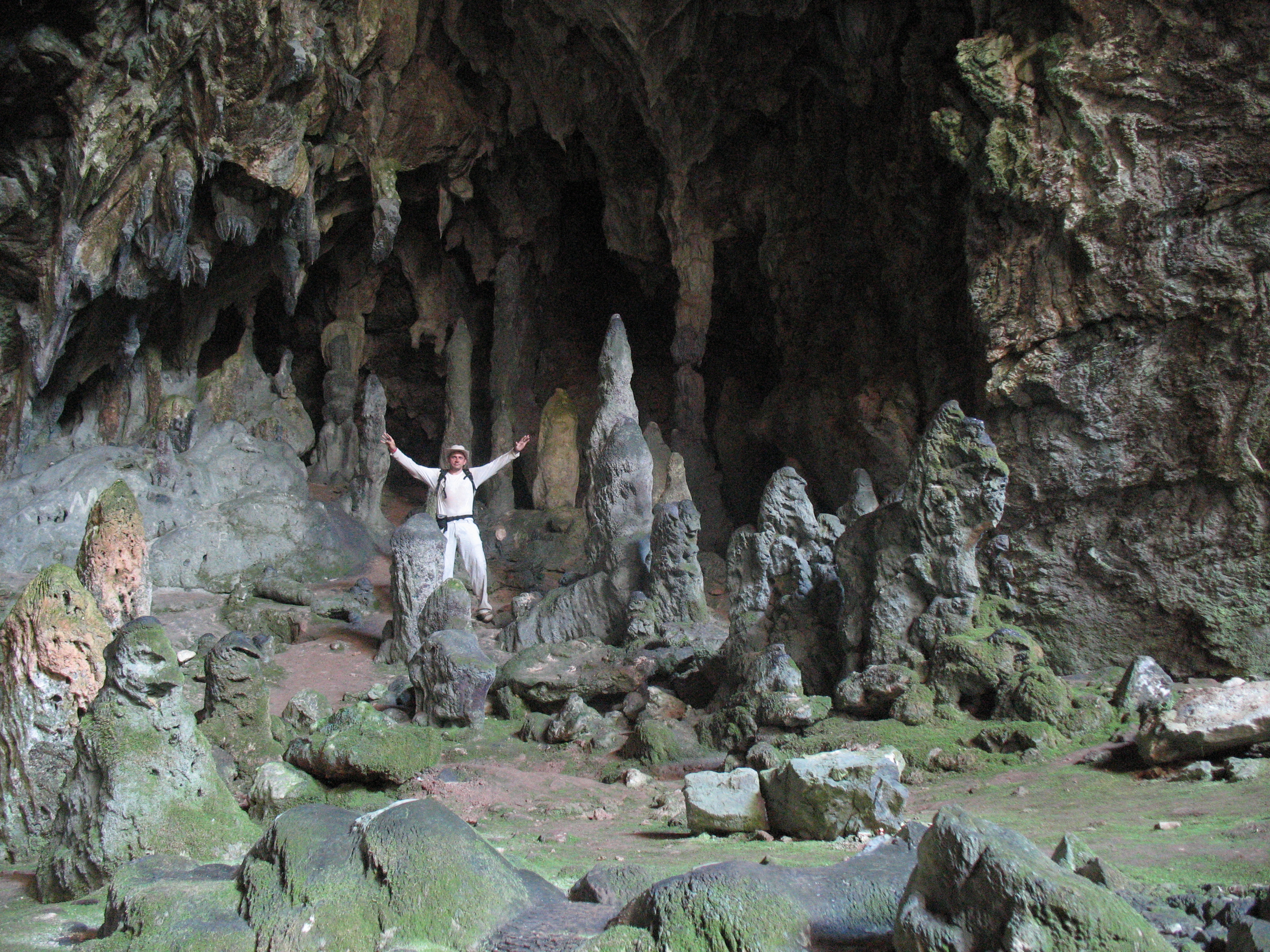 Отель Pasa Garden Beach, экскурсии и мои приятные воспоминания
