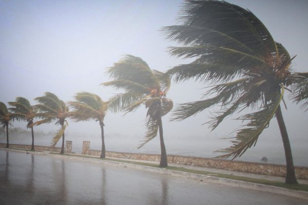 Направления для отдыха этим летом, которые стоит проигнорировать