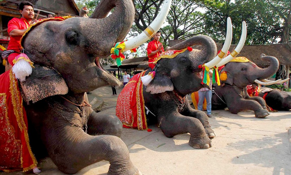 Отпуск в ноябре без оформления визы – солнечные направления 