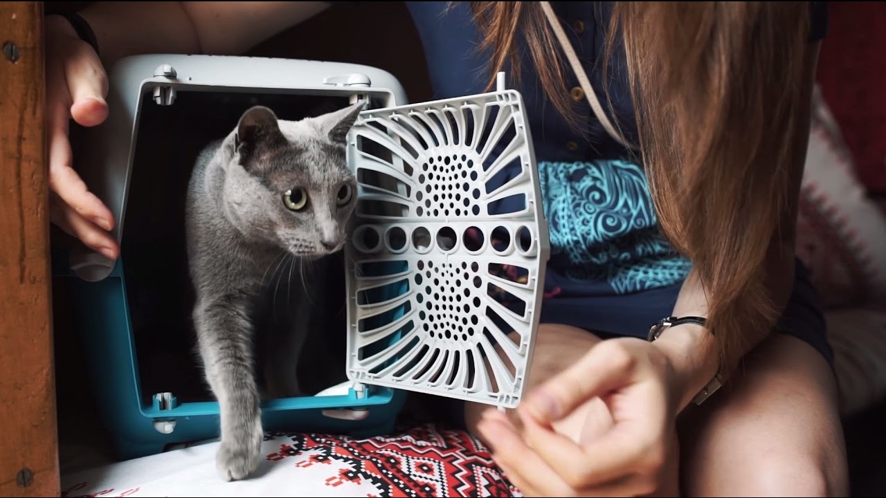 Бюджетный Интернет в Европе – чем выгодно подключить тариф