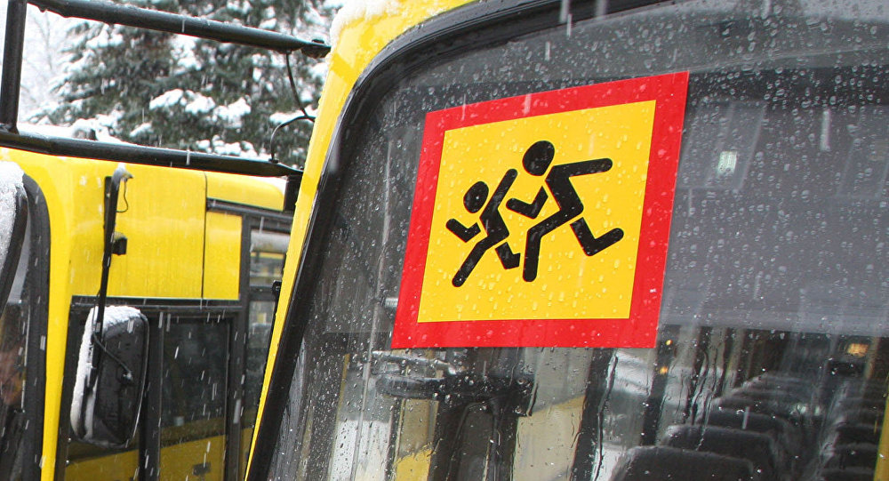 Каким условиям должен соответствовать перевозчик, чтобы иметь возможность перевозить детей