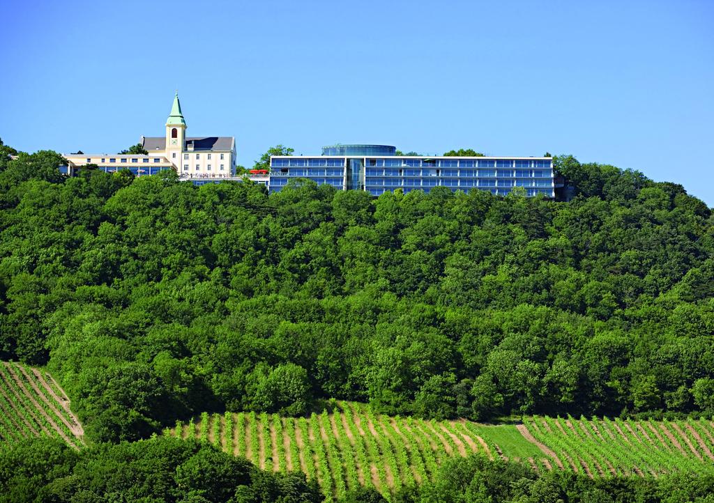 Каленберг Хилл достопримечательности Вены