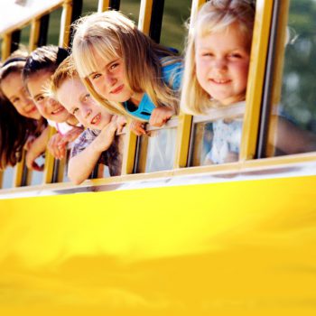 Каким условиям должен соответствовать перевозчик, чтобы иметь возможность перевозить детей?