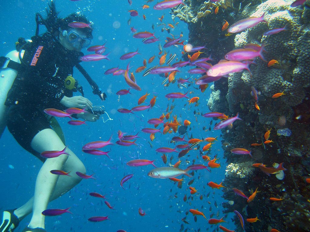 Голубиный Грот Табарка