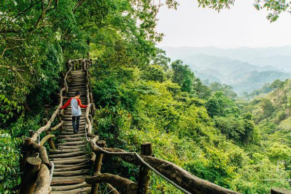 Первый отпуск в тропиках. Как защитить себя от болезней
