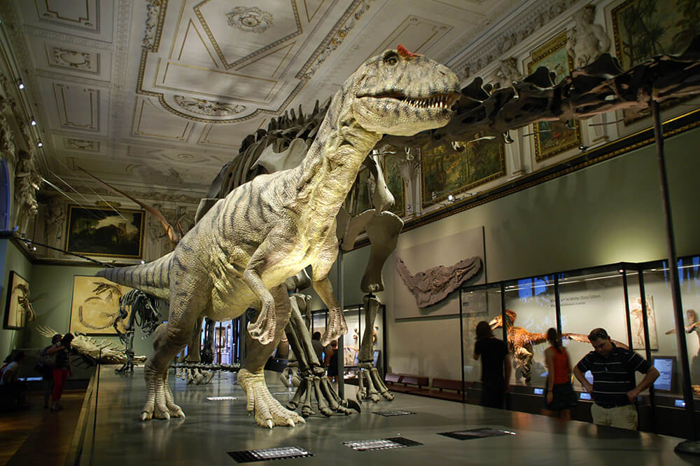 Советы для туристов. Как не переплатить за вход в музеи Европы. Музей Естествознания Вена