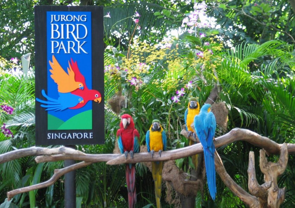 Сингапур Jurong Bird Park