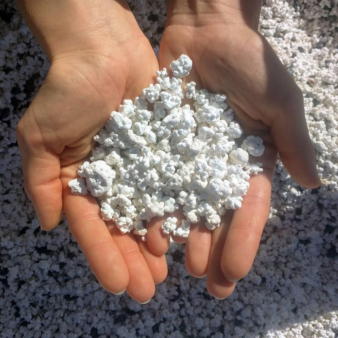 Туристы воруют попкорн с пляжа