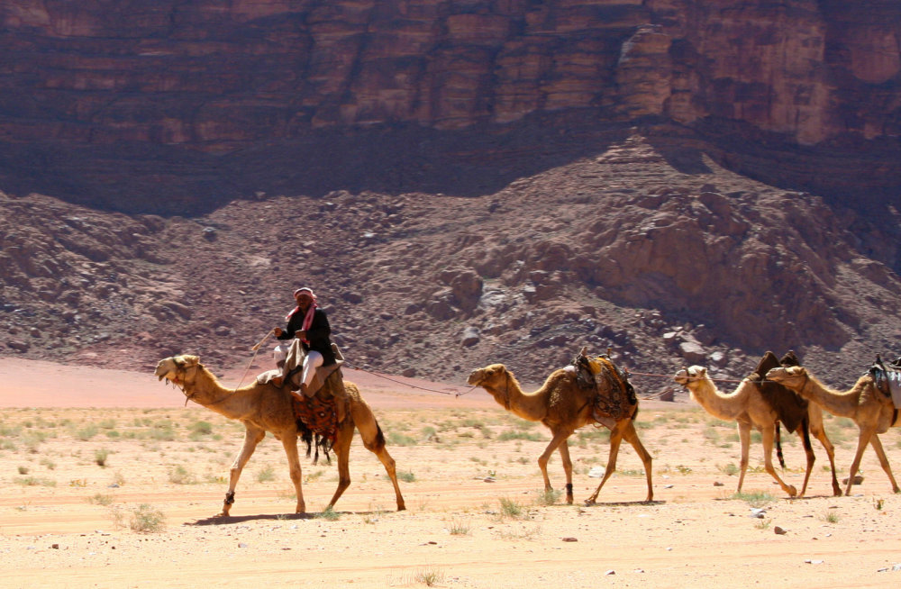 Всегда ли помогает знание английского