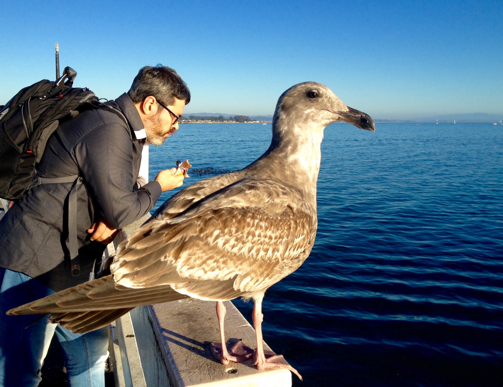 Ученые подтверждают! Стоит потратить все свои деньги на путешествия 1