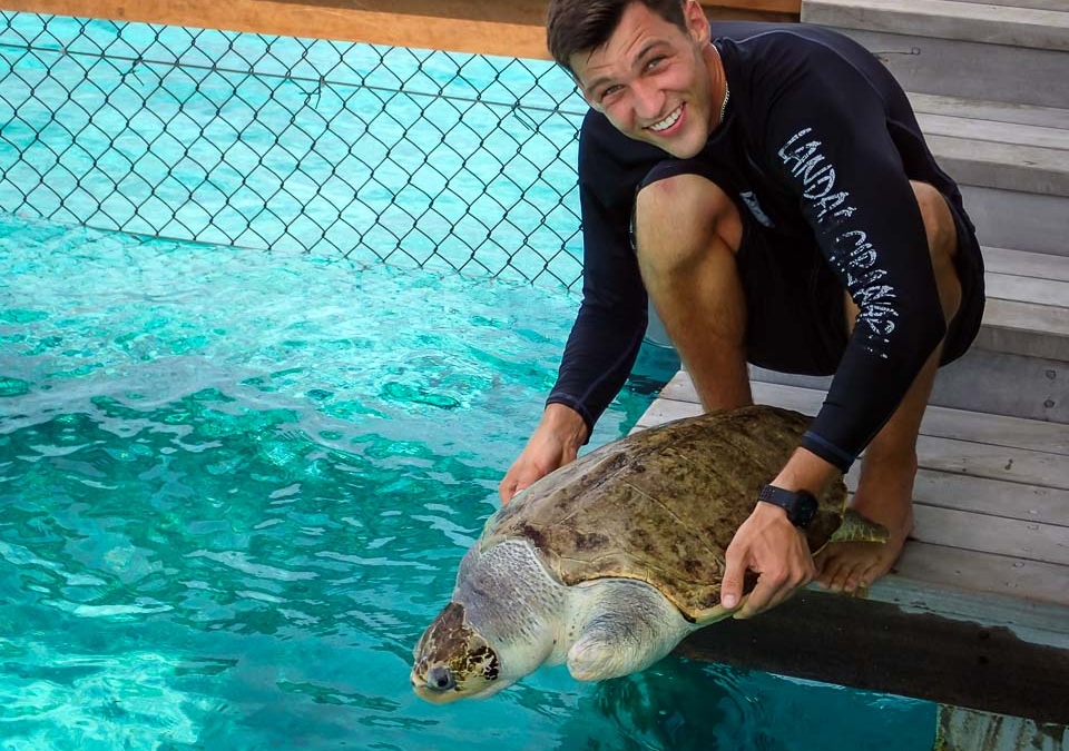 волонтерские программы