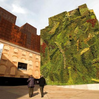 Майорка - для искусства. Пальма де Майорка художественный маршрут