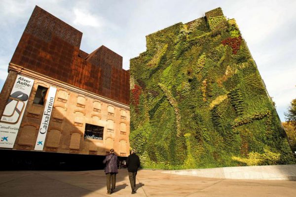 Майорка - для искусства. Пальма де Майорка художественный маршрут