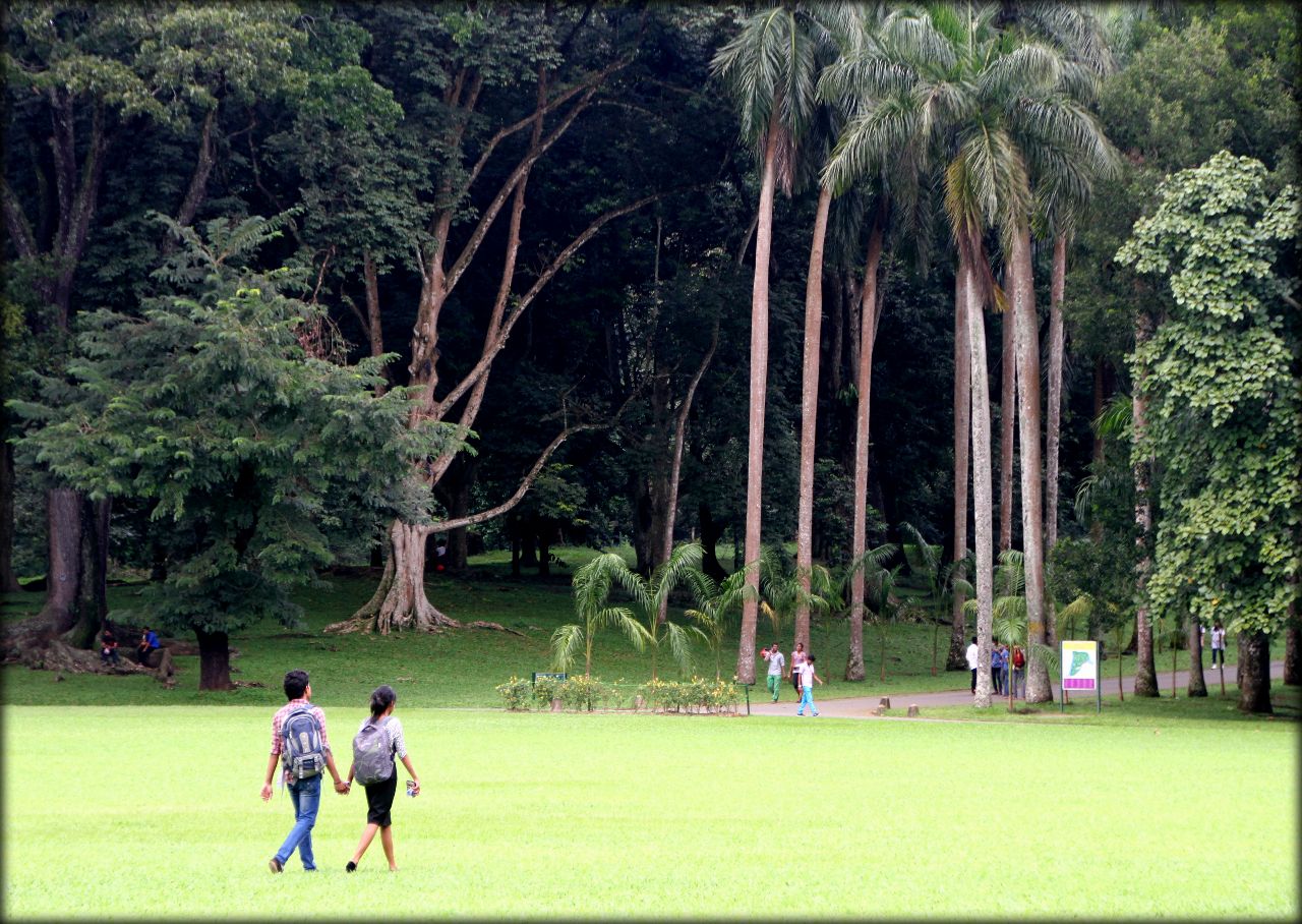 Ботанический сад в Парадении