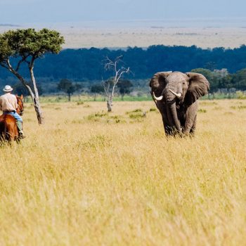 Роуминг в Кении