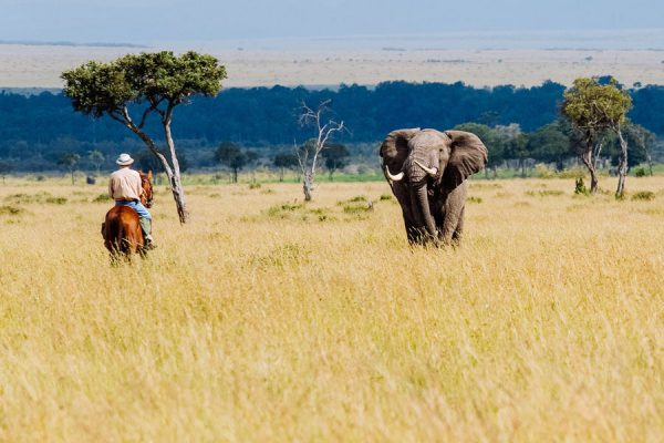 Роуминг в Кении