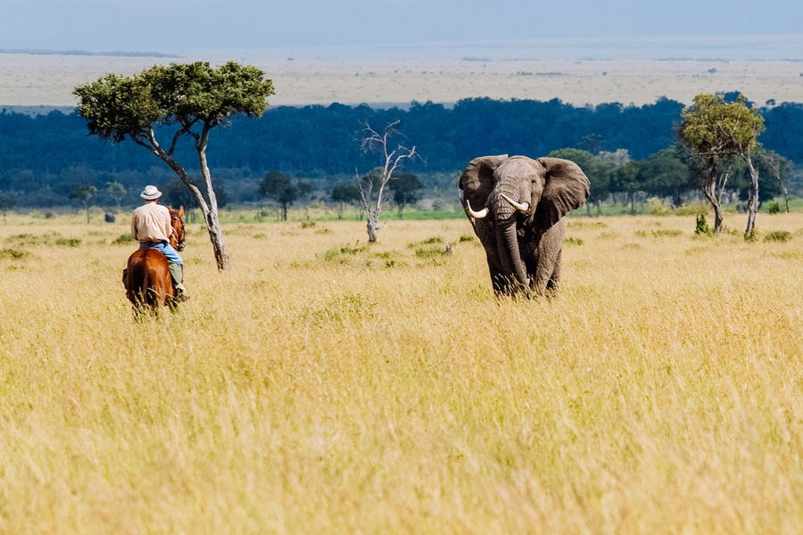 Роуминг в Кении