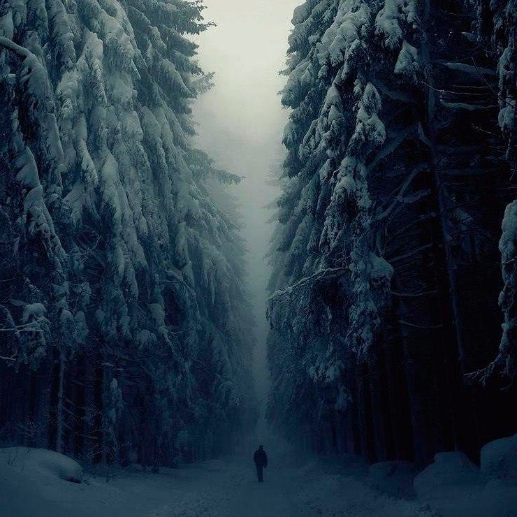 Что выделяет путешественников